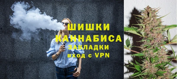 индика Заводоуковск