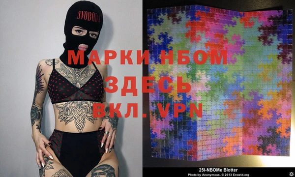 индика Заводоуковск