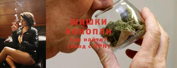 индика Заводоуковск