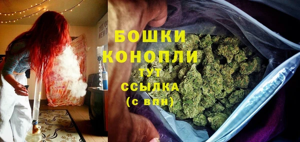 индика Заводоуковск