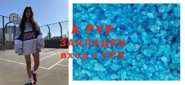 индика Заводоуковск