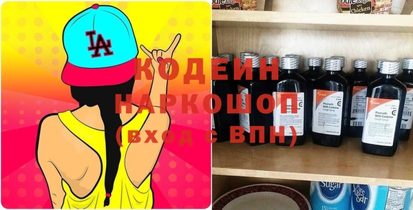 индика Заводоуковск