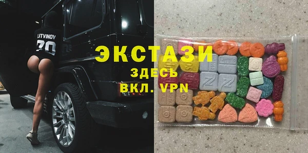 индика Заводоуковск
