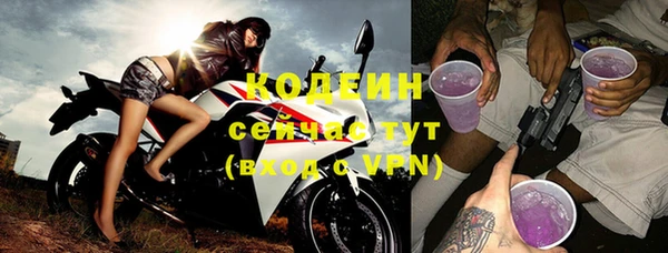 индика Заводоуковск