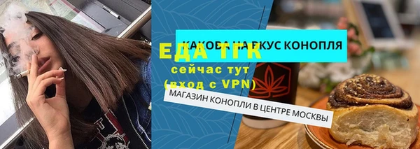 индика Заводоуковск