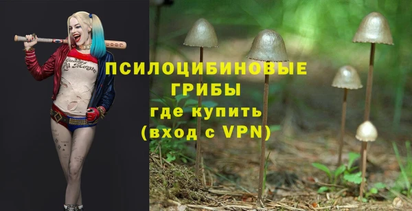 гашик Фурманов