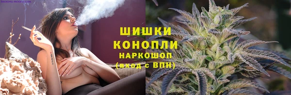 индика Заводоуковск